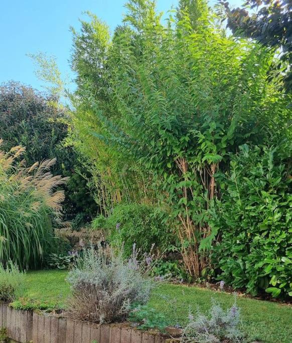 Apartament Ulli'S Oase Uettingen Zewnętrze zdjęcie