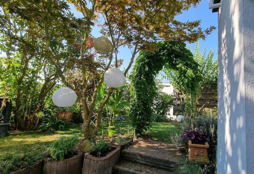 Apartament Ulli'S Oase Uettingen Zewnętrze zdjęcie